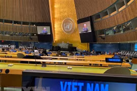 ONU : le Vietnam affirme son rôle au Conseil de sécurité