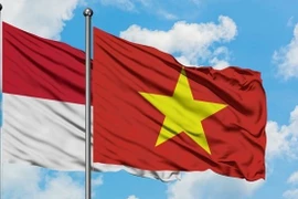 Volonté commune du Vietnam et l’Indonésie de promouvoir leur coopération multisectorielle