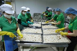 Les fruits vietnamiens de plus en plus appréciés à l’étranger