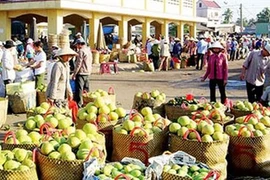Janvier: plus de 8,2 milliards de dollars d'échanges commerciaux Vietnam – Chine