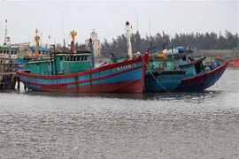 Le Comité national de direction chargée de la lutte contre la pêche illicite voit le jour 
