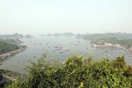 Cat Ba s’oriente vers le tourisme vert et durable 