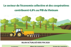 Le secteur de l’économie collective et des coopératives contribuent 4,8% au PIB du Vietnam
