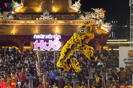 Thua Thiên-Huê organise un festival international de danse de la licorne