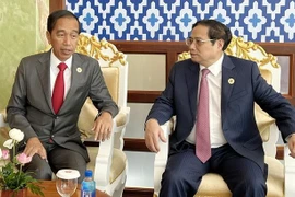 Le Vietnam veut développer son partenariat stratégique avec l'Indonésie