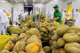 Exportation: 2023, une année prometteuse pour les fruits vietnamiens