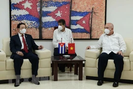 Le Vietnam et Cuba promeuvent les relations entre les deux Partis