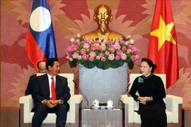 Vietnam et Laos promeuvent leurs liens de coopération