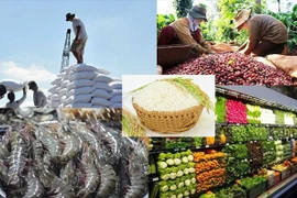 Le Vietnam vise 30 milliards de dollars d'exportations alimentaires par an