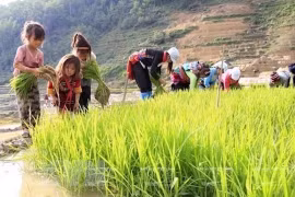 Dialogue sur les politiques liées au travail des enfants à Hanoi
