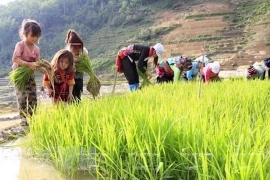 Dialogue sur les politiques liées au travail des enfants à Hanoi