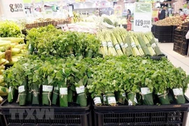 La province de Ninh Binh dit « non » au plastique