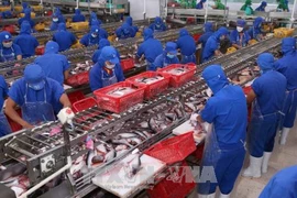 Pour porter les liens Vietnam – Nouvelle-Zélande à une nouvelle hauteur