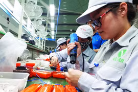 Pour favoriser le développement des industries auxiliaires