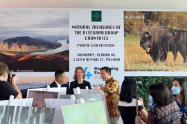 Expositions de photos sur la solidarité entre les quatre pays d’Europe centrale et le Vietnam