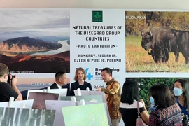 Expositions de photos sur la solidarité entre les quatre pays d’Europe centrale et le Vietnam