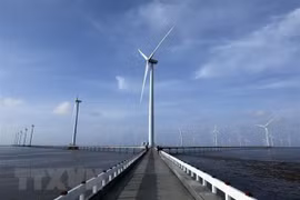 Le Vietnam déterminé à produire de l'électricité verte