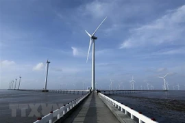 Le Vietnam déterminé à produire de l'électricité verte