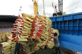 Le Vietnam exporte un volume record de riz en huit mois 