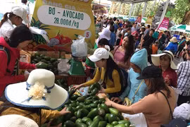 Promotion des exportations d'avocats vietnamiens vers les Etats-Unis