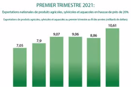 Exportations de produits agricoles, sylvicoles et aquacoles en hausse de 20% au 1er trimestre 