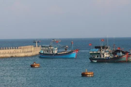 Explorer la beauté de la mer et des îles du Vietnam à travers des photos