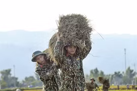 Les jeunes militaires œuvrent pour la Nouvelle ruralité