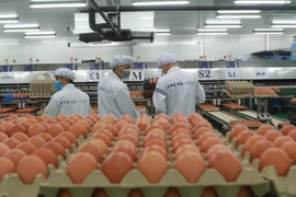 Exportation des produits de l'élevage: encore très modeste