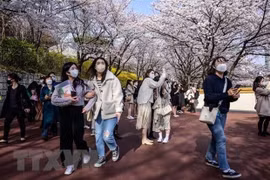 Les touristes vietnamiens sont le plus gros dépensier par carte de crédit en R. de Corée