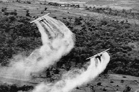 Plus de 500 oeuvres au concours d’écriture sur les séquelles de l’agent orange au Vietnam