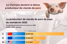 Le Vietnam devient le 6ème producteur de viande de porc 