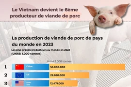 Le Vietnam devient le 6ème producteur de viande de porc 
