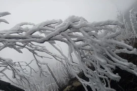 Une nouvelle vague de froid vif frappera le Nord à partir du 17 janvier