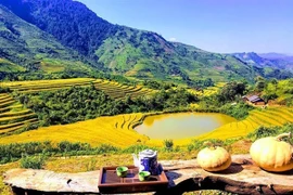 Le village de Sin Suoi Ho, un site de tourisme communautaire de l'ASEAN attrayant 