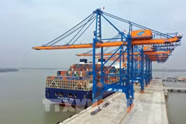 Le transport de marchandises en conteneurs via les ports maritimes de Ba Ria-Vung Tau en hausse 