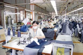 L’EVFTA favorise la promotion des liens commerciaux Vietnam – Allemagne