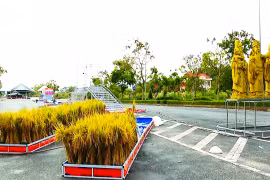 Le 5e festival du riz vietnamien à Vinh Long