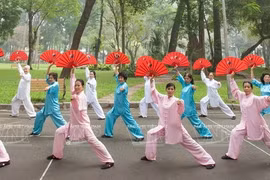 Arts martiaux vietnamiens: le « Thiêt phiên », une arme défensive efficace 