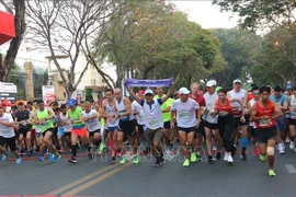 DaLat Ultra Trail 2020 : Plus de 5.000 coureurs attendus à Da Lat