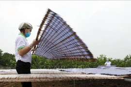 Bac Giang allouera plus de 14 millions de dollars pour la promotion industrielle d’ici 2025