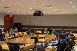 ONU: le Vietnam copréside la consultation du projet de résolution contre les épidémies