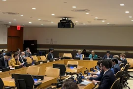 ONU: le Vietnam copréside la consultation du projet de résolution contre les épidémies