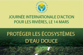 Protéger les écosystèmes d’eau douce 