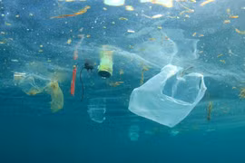 Le Vietnam et la France partagent des expériences dans la gestion de la pollution maritime