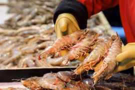Exportations de produits aquatiques: plus de 2 milliards de dollars attendus au 2e trimestre