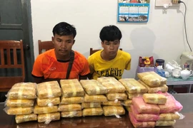 Quang Tri: la plus grande quantité de stupéfiants saisis à la frontière Vietnam – Laos