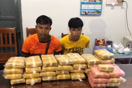Quang Tri: la plus grande quantité de stupéfiants saisis à la frontière Vietnam – Laos