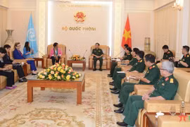 Le Vietnam et l’ONU renforcent leur coopération dans le déminage et le maintien de la paix