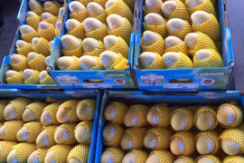 Le Cambodge pourrait exporter environ 500.000 tonnes de mangues par an vers la Chine