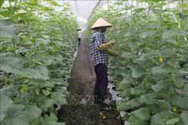 Forum national sur l’économie collective et les coopératives prévu pour le 3e trimestre